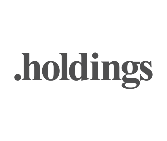 Buy Your Own .HOLDINGS Domain