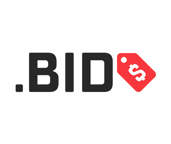 Examples of .BID Websites