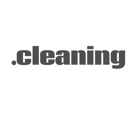Examples of .CLEANING Websites